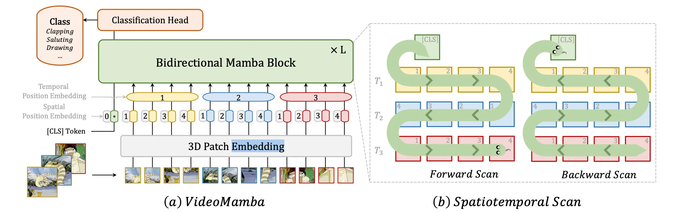 VideoMamba sweeps back and forth over video frames to ensure continuity between tokens.